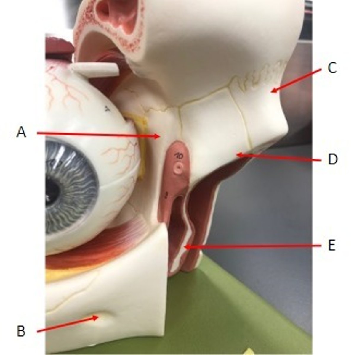 <p>Identify</p>
