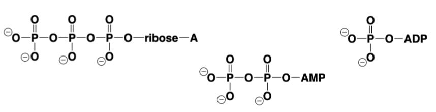 <p>Identify the compounds.</p>