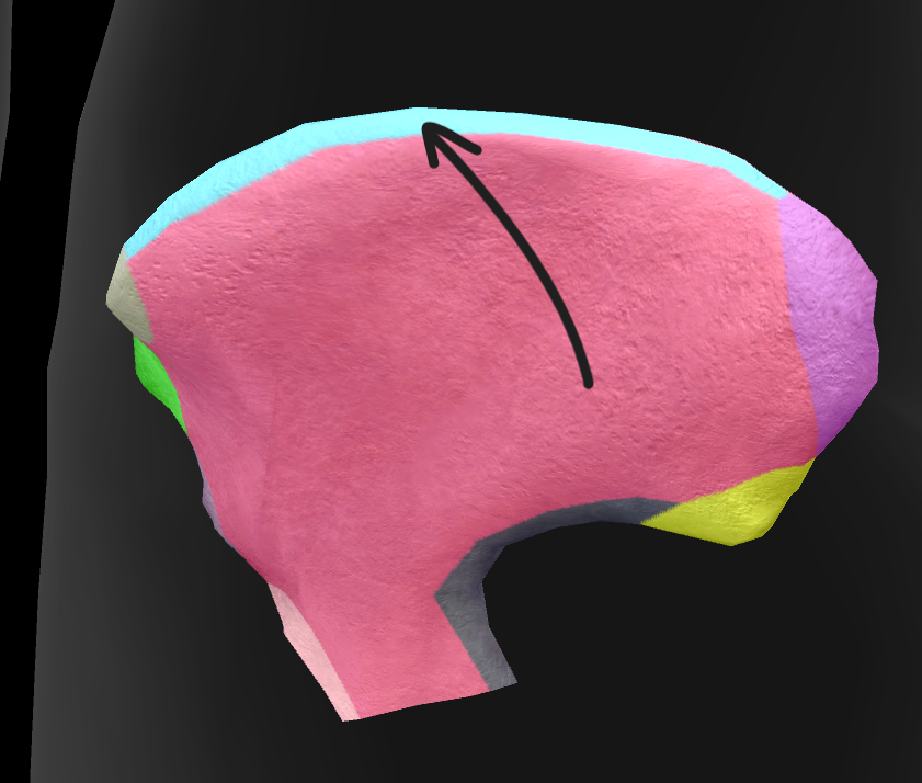 term image