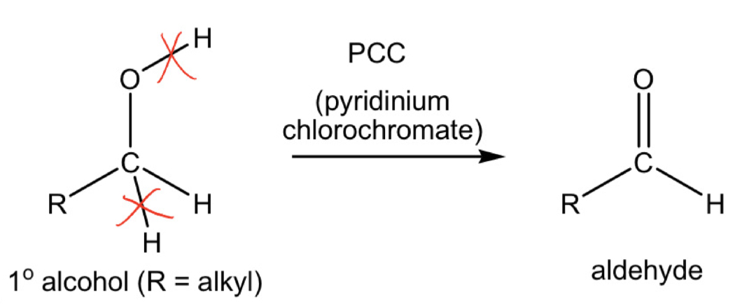 <p>Description of reaction and mechanism</p>