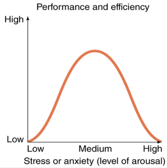 <ul><li><p>often highlighted during sporting events</p></li><li><p>Yerkes Dodson curve - need moderate amount of stress.</p></li></ul><p></p>