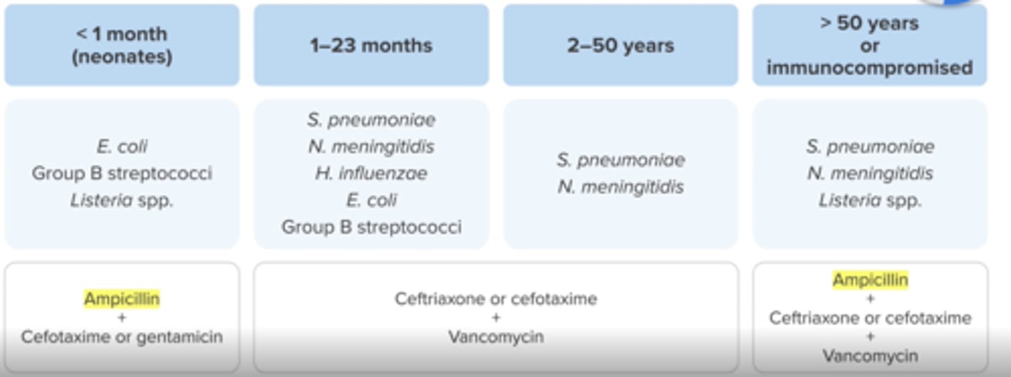 <p>ALL: IV dexamethasone x4 days d/c if not s. pneumo</p><p><1 month: Amp (listeria) + cefotaxime/gentamicin</p><p>>50/immunoc: Amp (listeria) + ceftriaxone/cefotaxime + vanc (s. pneumo)</p><p>everyone else: ceftriaxone/cefotaxime + vanc (s.pneumo)</p>