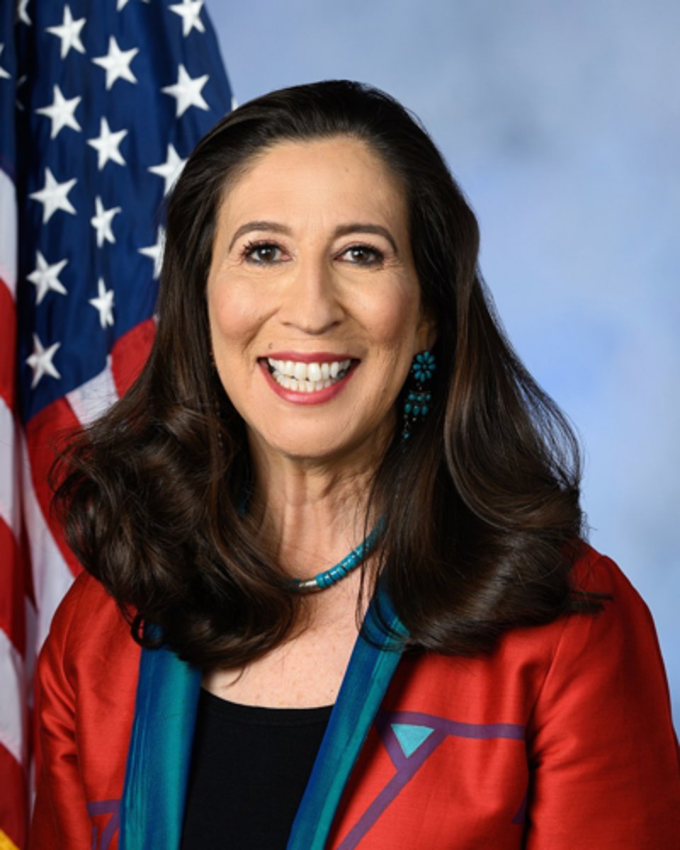<p>Teresa Leger Fernandez (NM-03)</p>