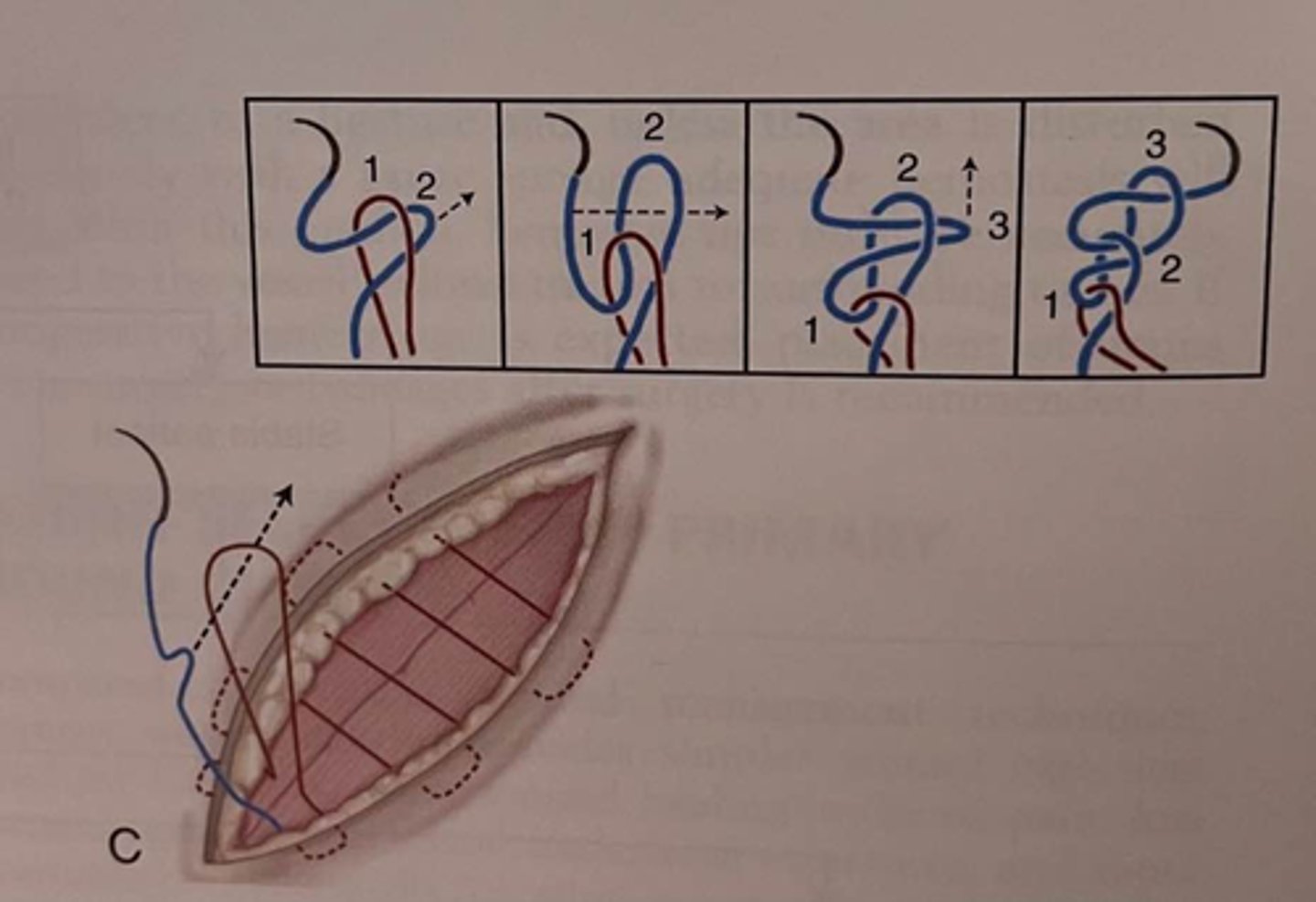 <p>What is shown here?</p>