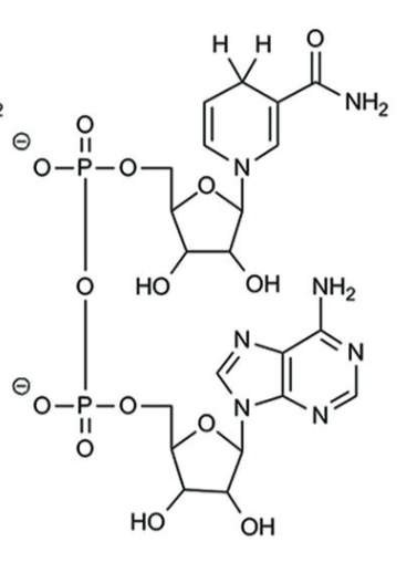 <p>what structure is this</p>