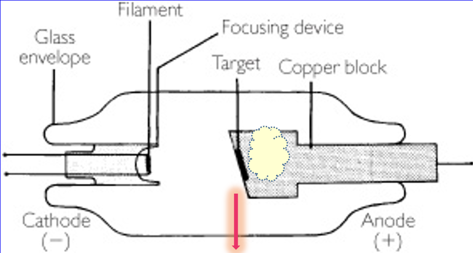 <p>X-ray production process</p>