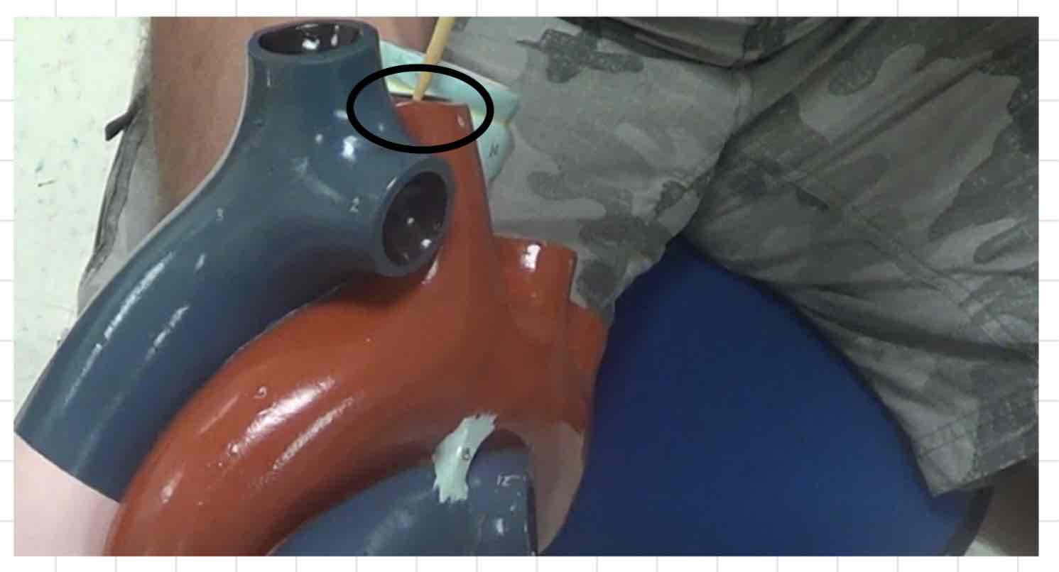 <p>what is this? (giant heart model)</p>