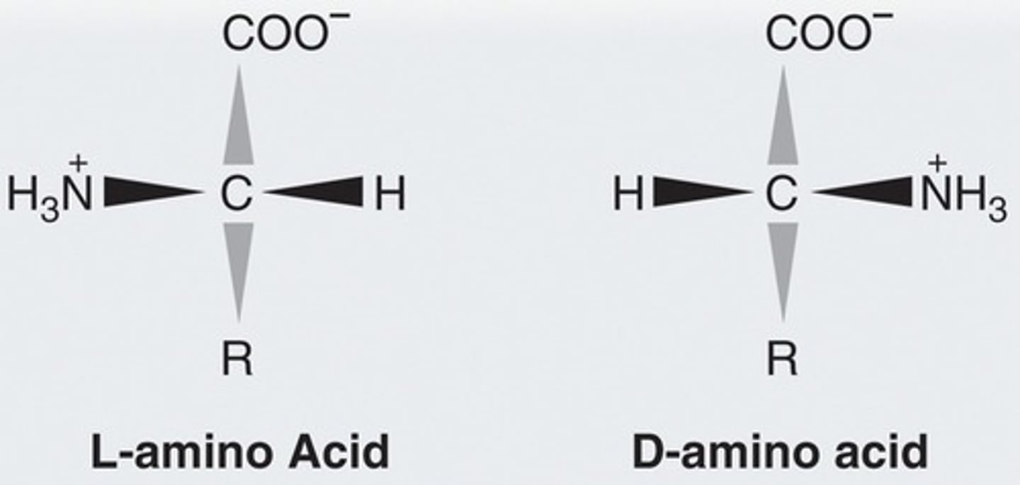 <p>Yes (19 out of 20) are chiral.</p>