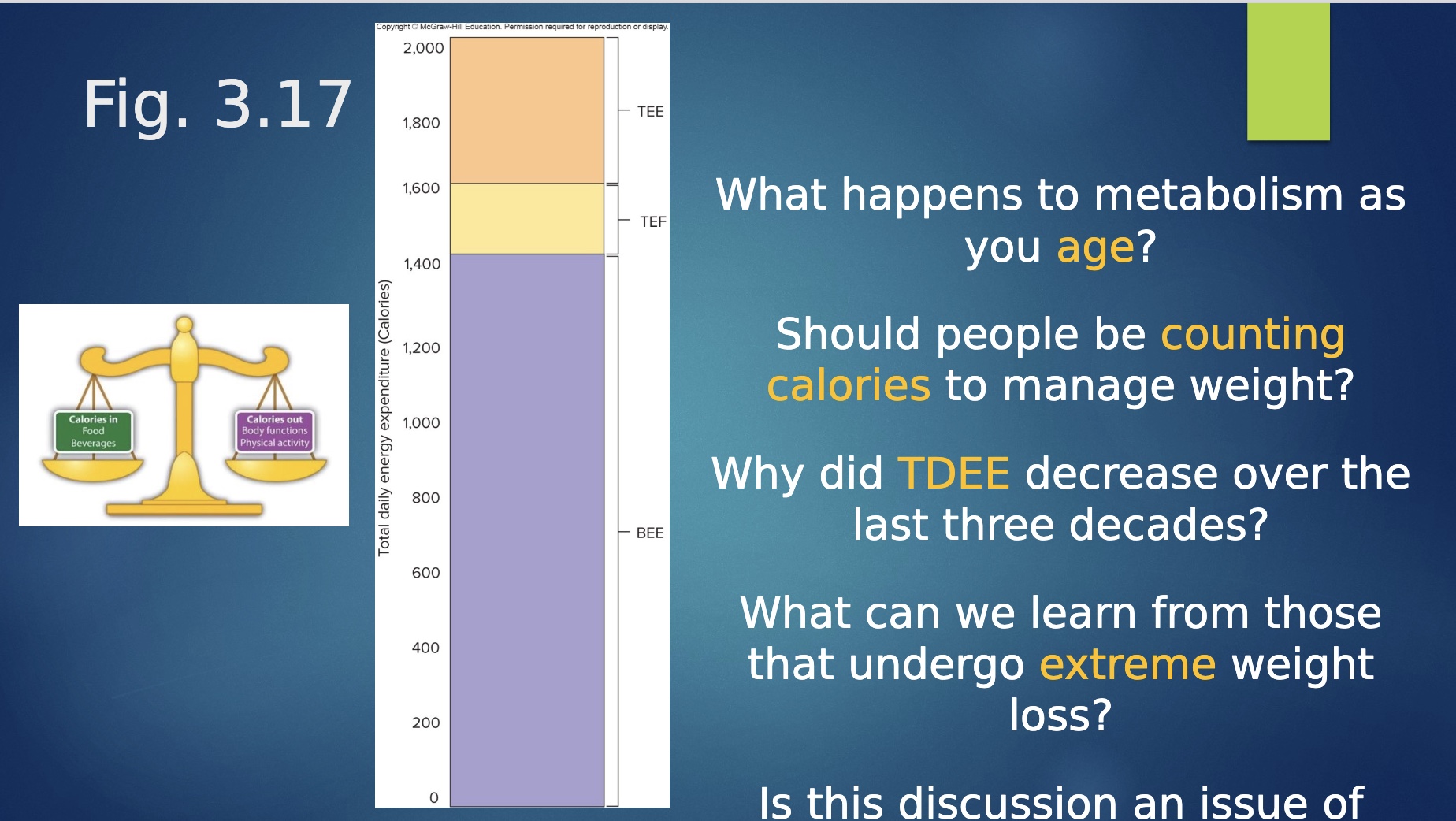 <p>-In: hunger, satiety, social factors</p><p>-Out: figet, BMR, PA, night hormones (Ex: thyroid)</p>