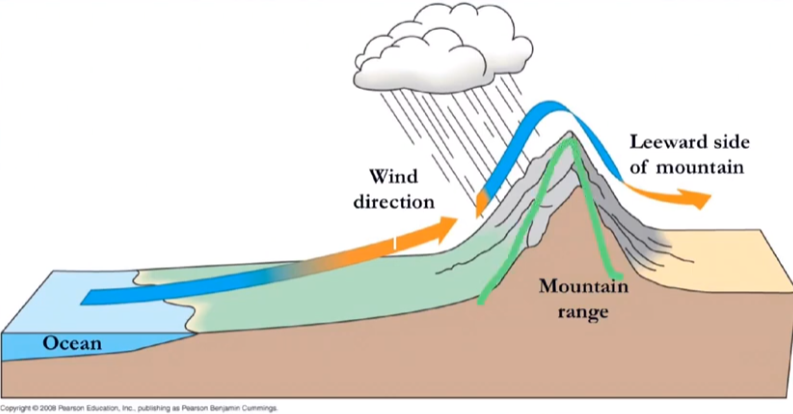 <p>rising air releases moisture on the ________ side of a mountain and creates a “rain shadow” as it absorbs moisture on the ____________ side</p>