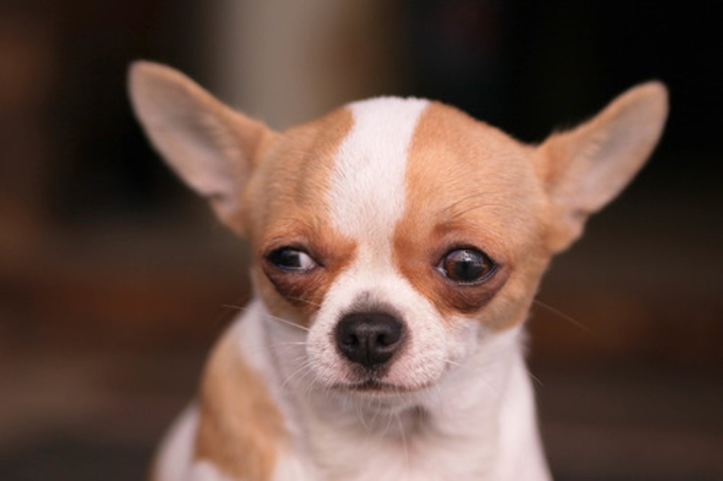 <p>unwillingness to accept explanations for events unless such explanations were based on empirical evidence or logic</p>