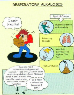 <p>Lungs → alkalotic (caused by hypoventilation)</p>