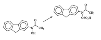 <p><span>The following reaction is performed by which enzyme?</span></p>
