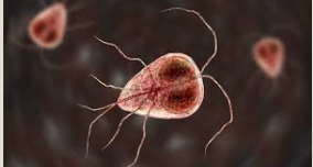 <p>what is this </p>