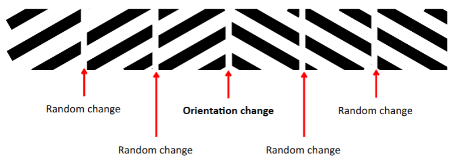 <p>Cortical activity is produced specifically by the orientation change (not random change) at ~3 weeks.</p>