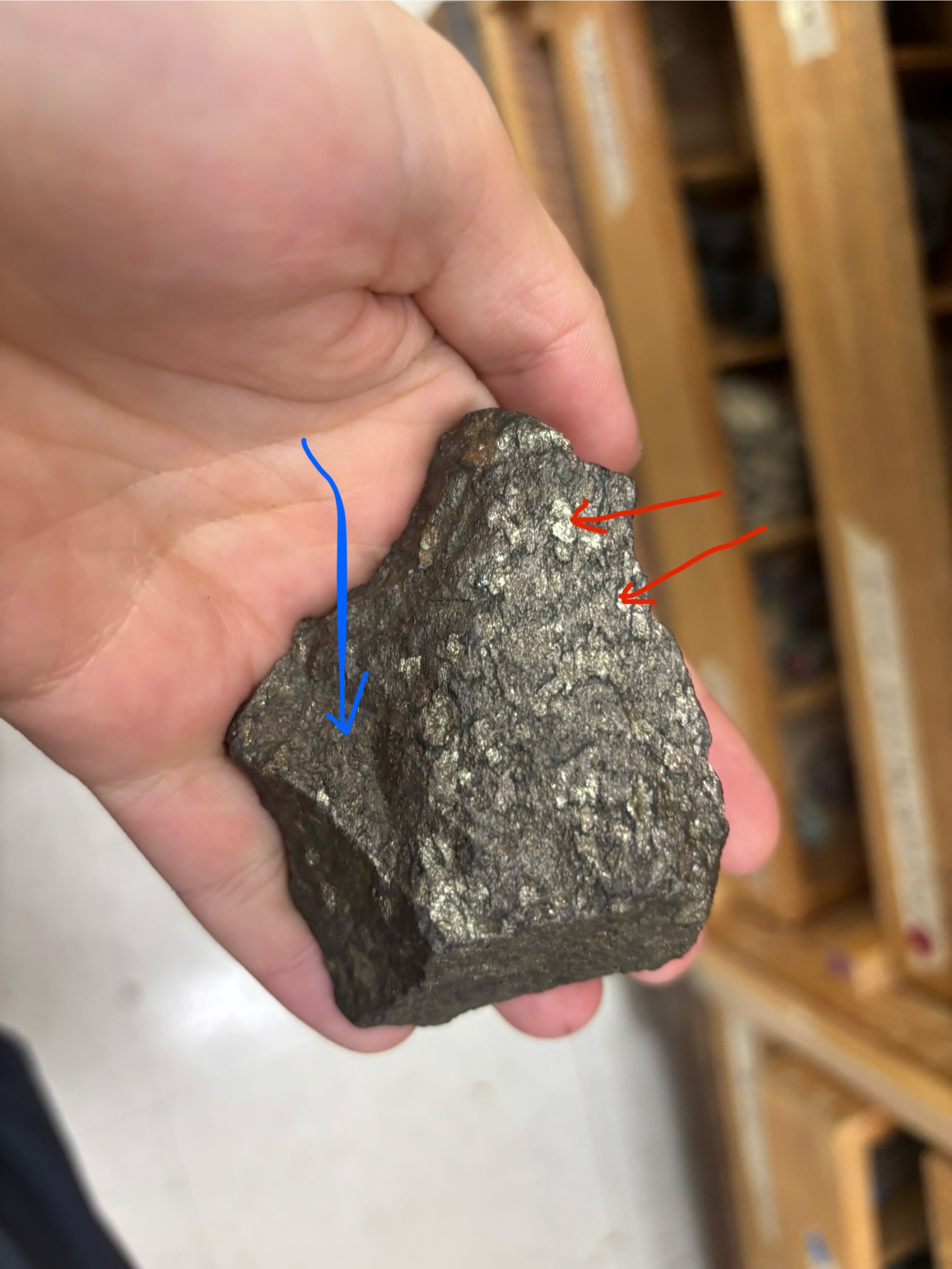 <p>Minerals, diagnosis</p>