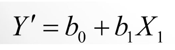 <p>Y’</p>