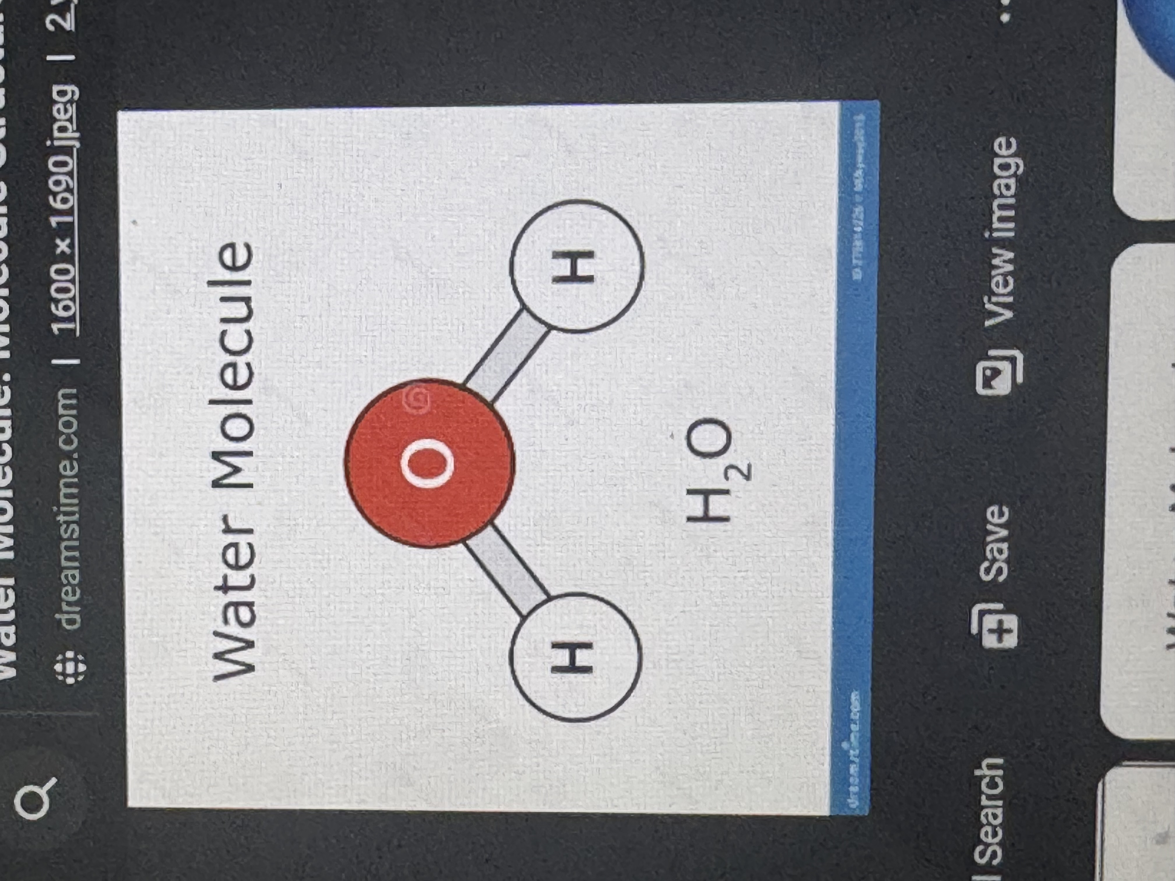 <p>two or more atoms joined chemically in a specific structure. examples: h2o</p>