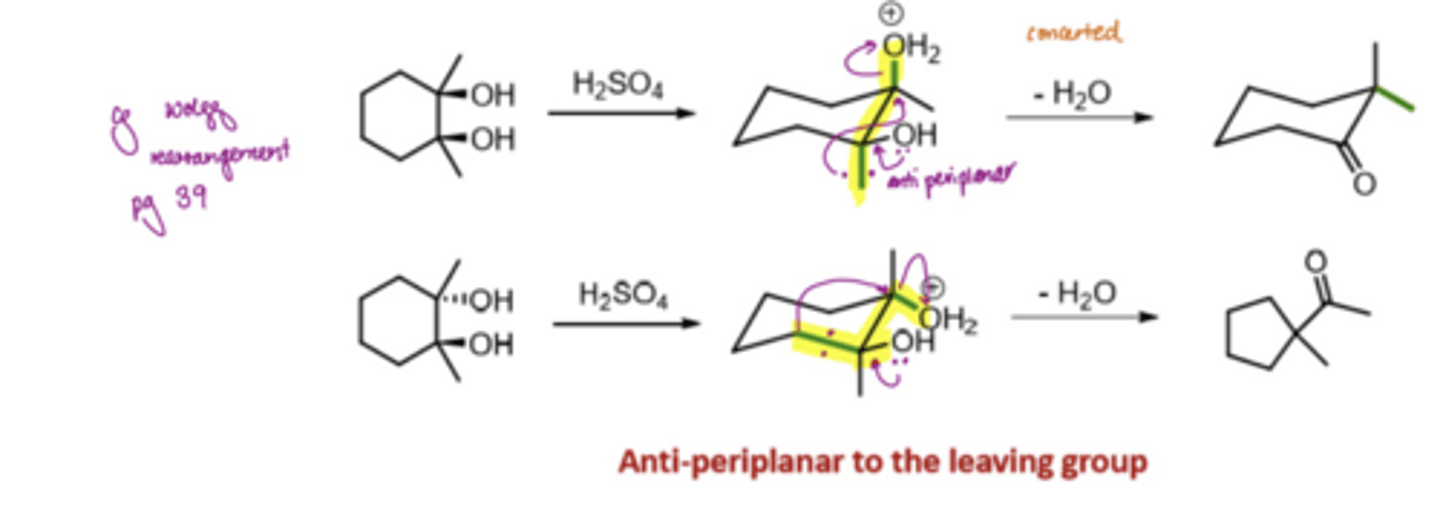 <p>adopt the chair conformation in the intermediate state</p><p>has to be antiperiplanar to the LG</p>