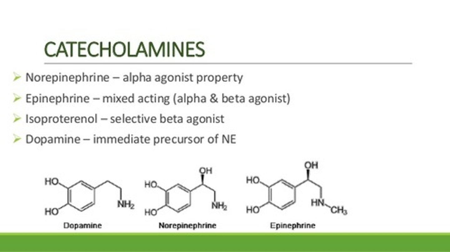 <p>(A) Serotonin</p><p>The three major Catecholamines are:</p><p>I. Epinephrine/Adrenaline</p><p>II. Norepinephrine/Noradrenaline</p><p>III. Dopamine</p>