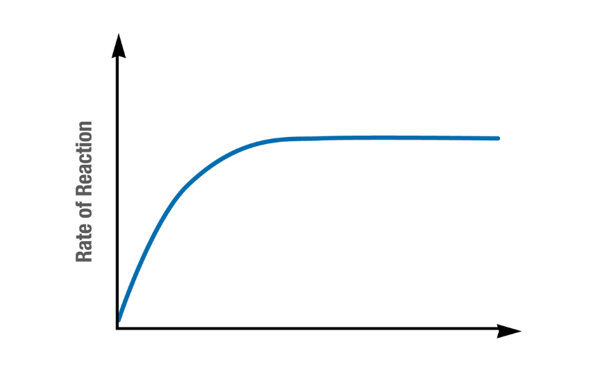 <p>The effect of substrate concentration on enzyme activity:</p><ol><li><p><span style="background-color: transparent;"><span>Rapid increase </span></span></p></li><li><p><span style="background-color: transparent;"><span>Plateaus&nbsp;</span></span></p></li></ol><p></p>