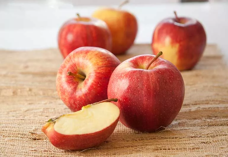 <p>Apple</p>