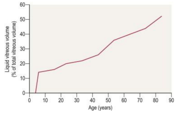 <p>Vitreal Composition: <strong>Change with Age</strong></p>