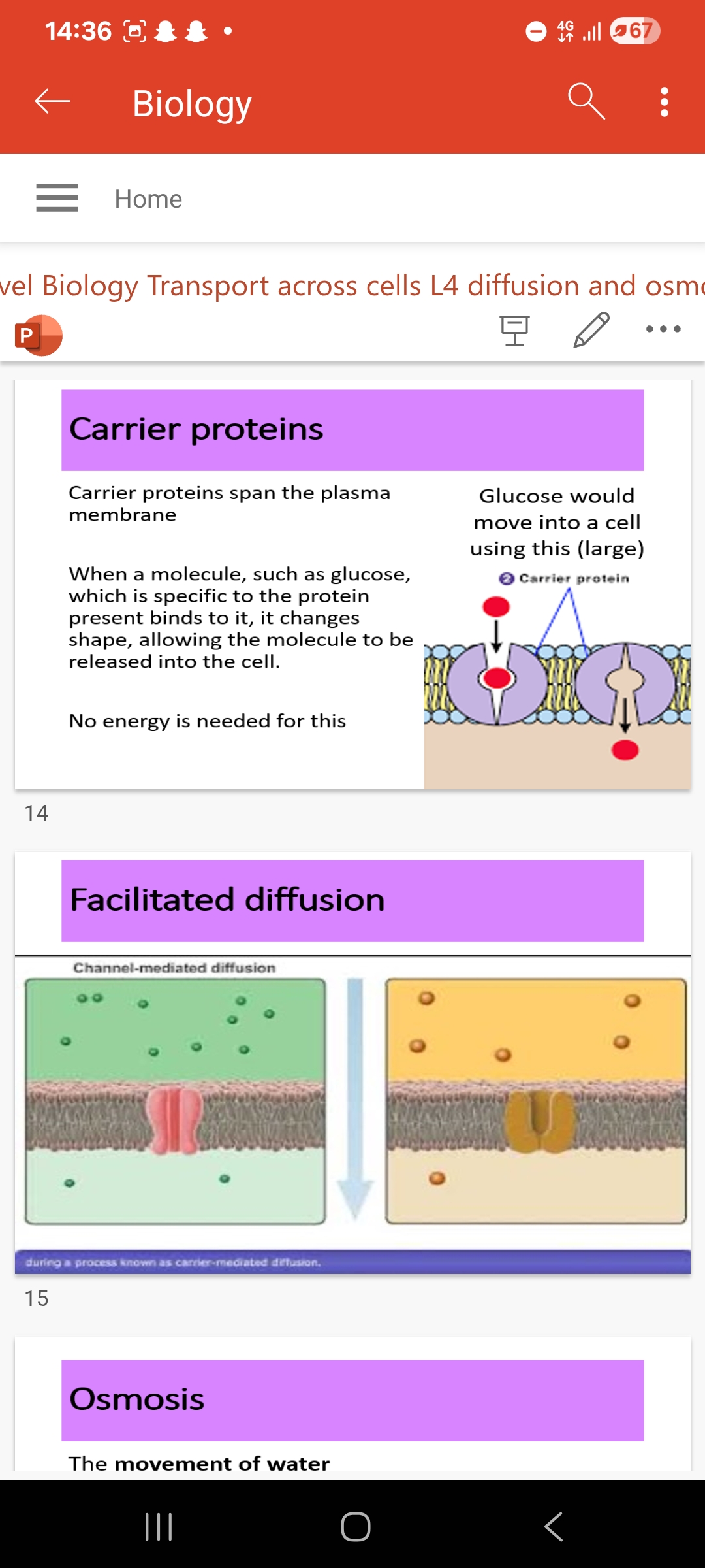 <ol><li><p>Carrier proteins and protein channels</p></li><li><p class="has-focus">water.     3.water.   4.ion 5.closed</p></li></ol><p class="has-focus">6.When an ion binds with the protein it causes it to change shape in a way that closes It to one side of the membrane and opens it to the other side</p><p class="has-focus">Na+ ions would move into a cell ike this (small and polar)</p><p>7.plasma.   8.shape 9.because glucose is large.</p>