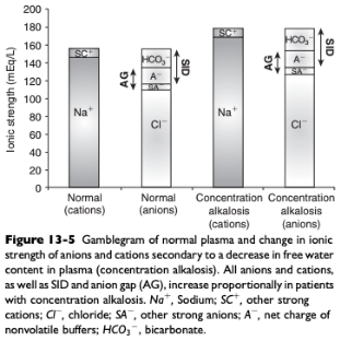 <ul><li><p>Develops whenever a deficit of free water in plasma occurs</p><ul><li><p>Recognized clinically by the presence of hypernatremia or hyperalbuminemia</p></li><li><p>Solely decreasing the content of water increases the plasma concentration of all strong cations and strong anions and thus increases SID</p><ul><li><p>Decrease in water content increases Atot but the increase in SID has a greater effect on pH</p></li></ul></li></ul></li><li><p>Therapy for concentration alkalosis should be directed at treating the underlying cause responsible for the change in [Na+]</p></li></ul><p></p>