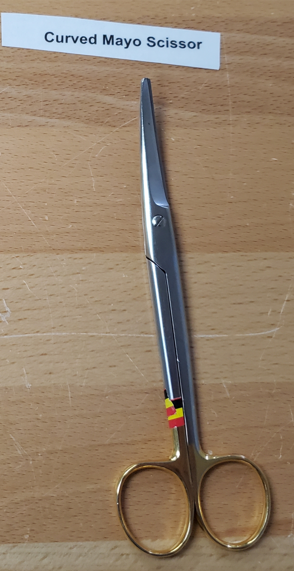<p>Curved Mayo Scissors </p>