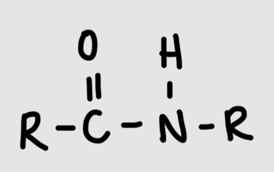 <p>Formation of amide linkage</p>