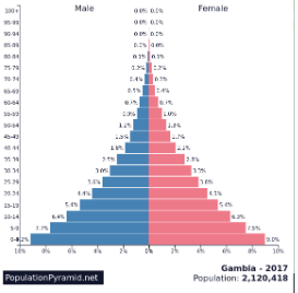 <p>Identify the trend in this picture&nbsp;</p>
