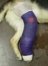 <p>What kind of bandage is this?</p>