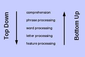 analysis that begins with the sensory receptors and works up to the brain's integration of sensory information.