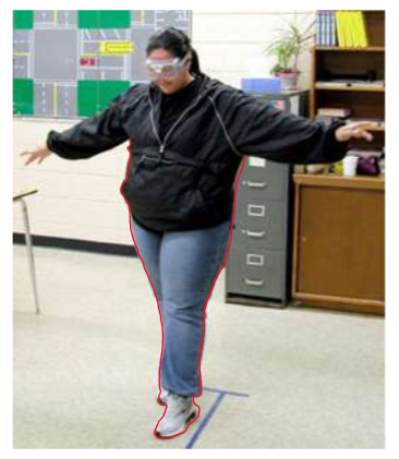 <ul><li><p>Our ability to adjust to distorted perceptual circumstances</p></li><li><p>Distortion Goggles</p></li></ul><p></p>