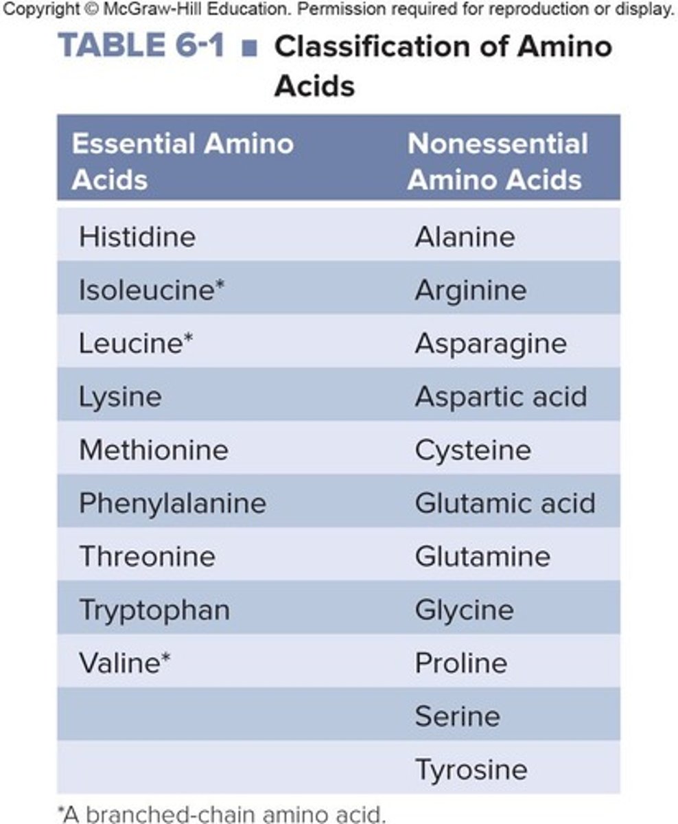 <p>9 amino acids not synthesized by the body.</p>