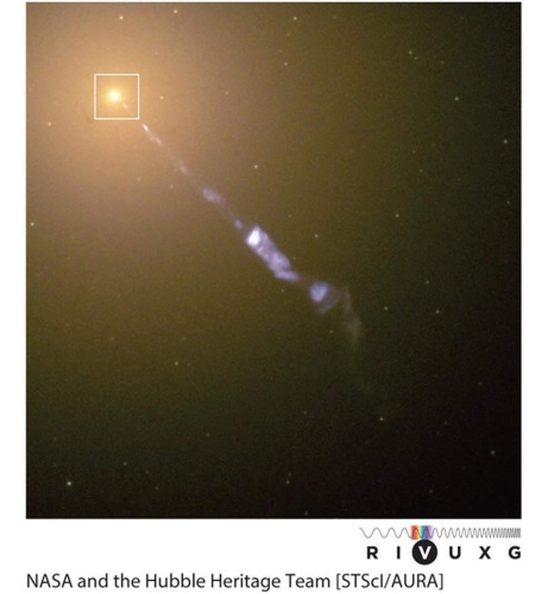 <p>The bright region in the center has stars and gas held in tight orbits by a black hole with a mass between 3.5 and 7.2 x 10^9 Mʘ.</p>