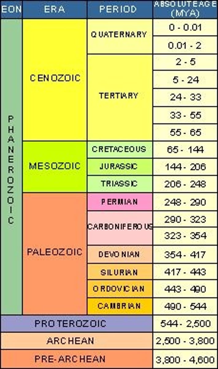 <p><strong>eon</strong> = longest division of geologic time, including all below</p><p><strong>Eras</strong> = subdivision of an eon including multiple periods &amp; epochs</p><ul><li><p>Paleozoic</p></li><li><p>Mesozoic</p></li><li><p>Cenozoic</p></li></ul><p><strong>Periods</strong> = subdivision of an era w/ various epochs</p><ul><li><p>EX: Jurassic period</p></li></ul><p><strong>Epochs</strong> = subdivision of a period (smallest division)</p><ul><li><p>EX: Holocene ("completely new") epoch of Neogene period in Cenozoic era</p></li></ul>