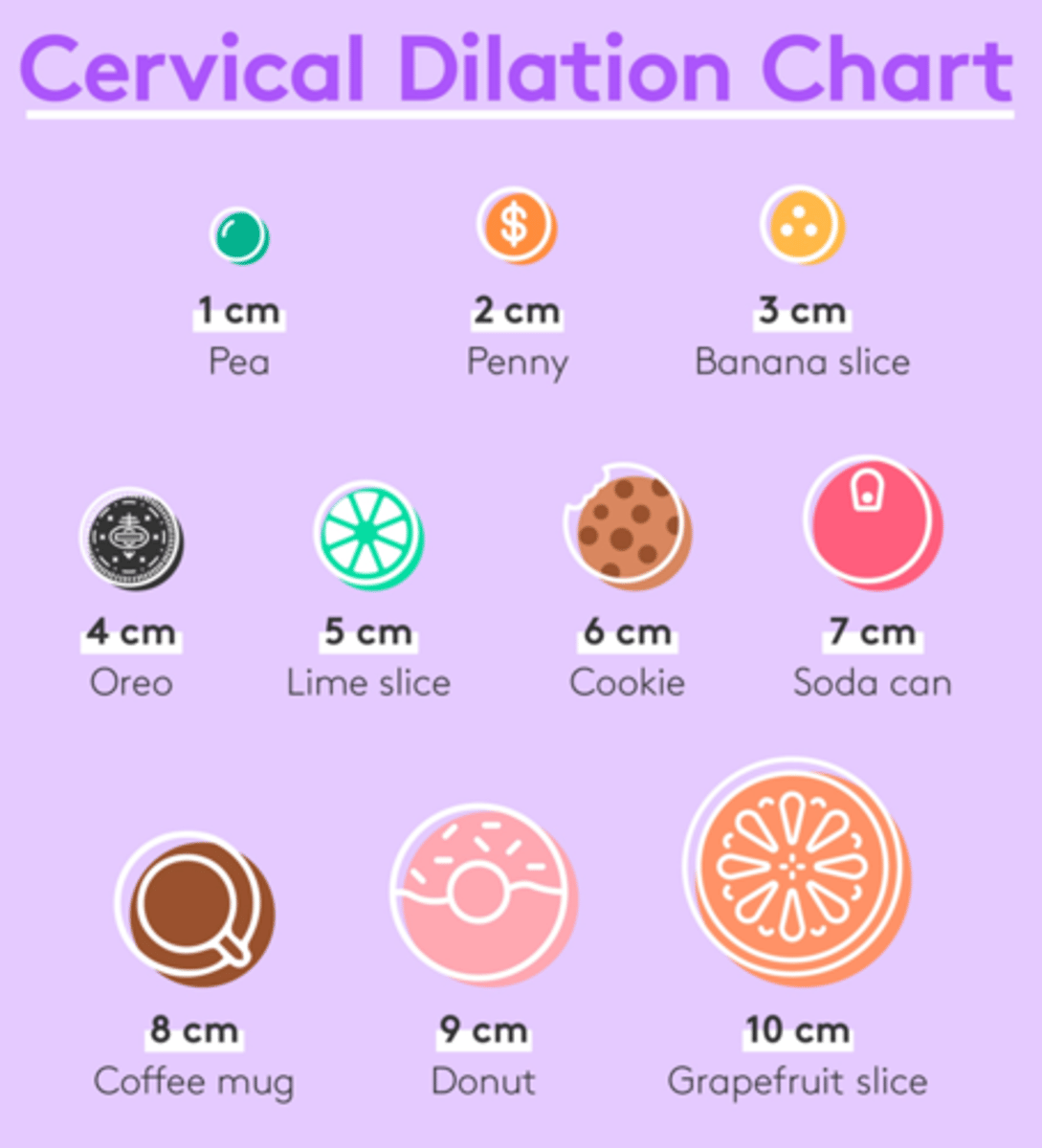 <p>-opening of the cervix from 0-10 cm</p><p>-diameter across opening</p>