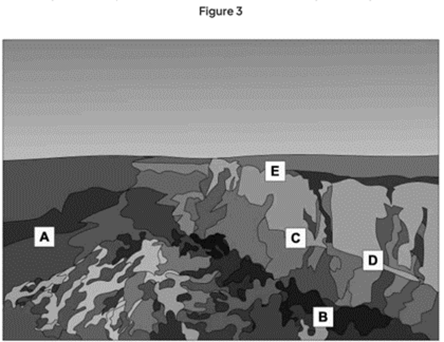 <p>Two reasons why animals become extinct are:<br>Any two from the following:<br>Any natural catastrophe such as meteor or volcanic explosion; <br>Disease caused by a new pathogen; <br>New competitor (in habitat); <br>Environmental change over time (such as climate change); <br>New predator (in habitat); <br>Prey population decreases / lack of food.</p>
