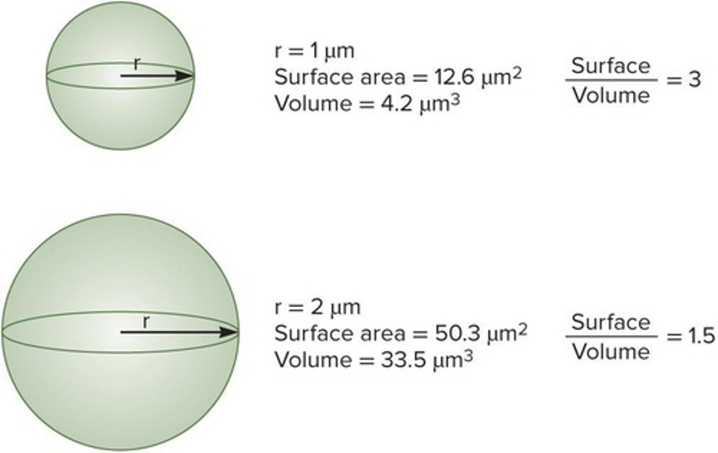 <p>Measurement affecting nutrient uptake efficiency.</p>