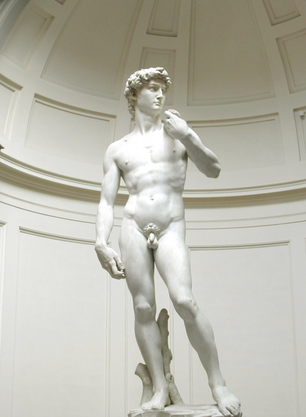 <p>Michelangelo, <em>David</em>, Florence, ca. 1501-1504. Marble</p>