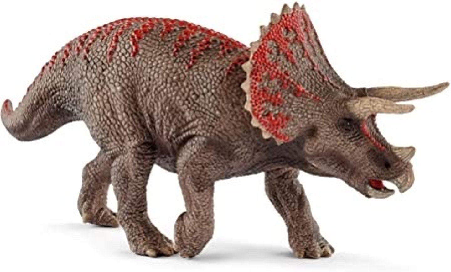 <p>Triceratops</p>