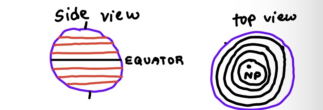 <p>Side View: straight lines that don’t intersect</p><p>Top View: circles coming from north pole(not intersecting)</p>