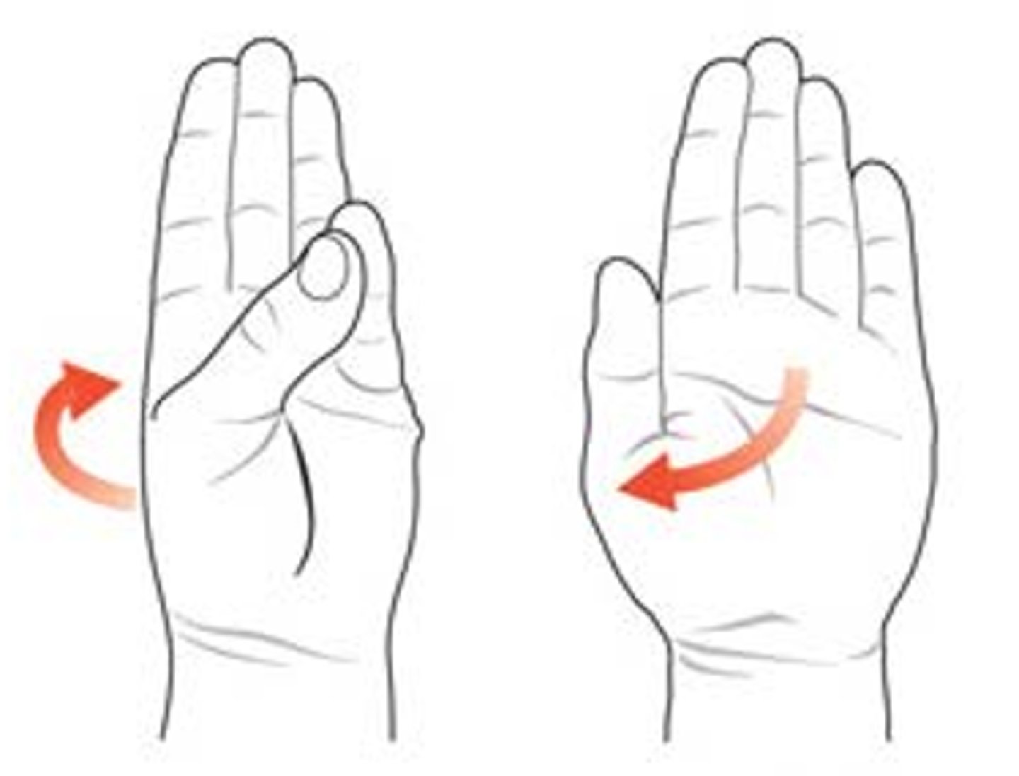 <p>measure distance from crease of pinky to thumb<br><br>supinated</p>
