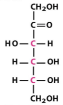 <p>6-carbon ketone</p><p>Left-right-right</p>