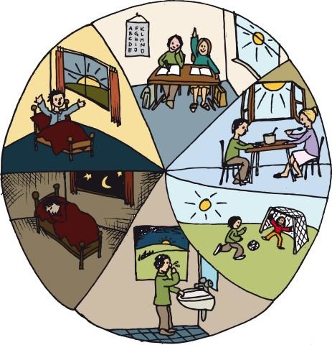 <p>der Tagesablauf, die Tagesabläufe</p>