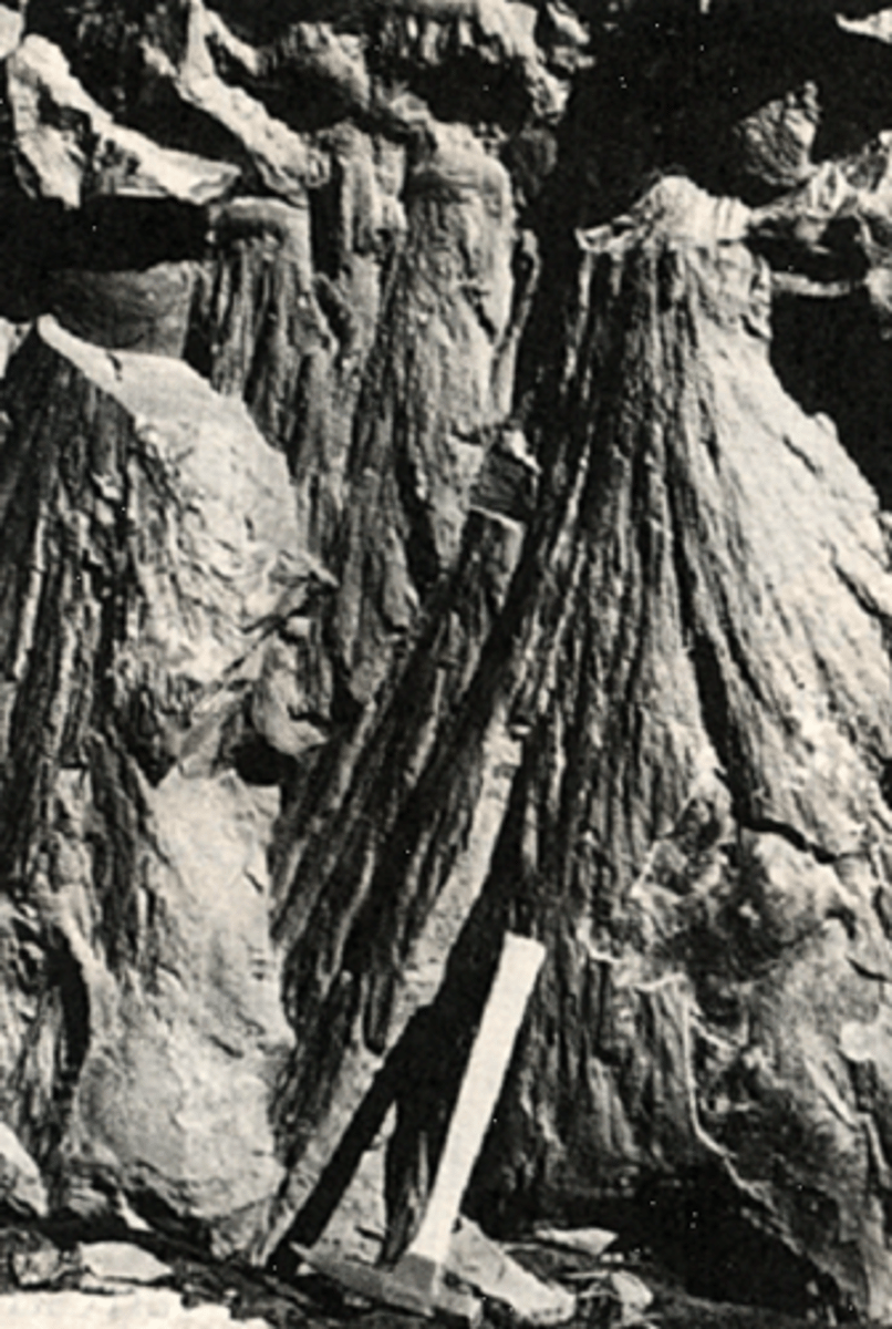 <p>Fossil shock waves, horsehair texture</p>