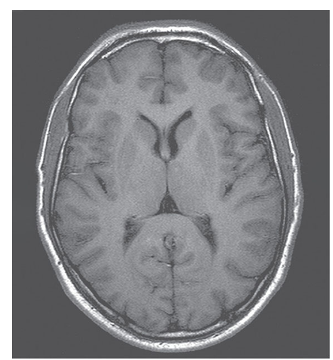 <p>What does this image show?</p>