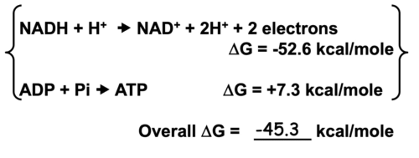 <p>chemiosmosis</p><p>NADH + H⁺ → NAD⁺ + 2H⁺ + 2 e⁻ ... ∆G = -52.6 kcal/mole = FAVORABLE</p><p>ADP + Pi → ATP ... ∆G = +7.3 kcal/mole = NOT FAVORABLE</p><p>** highly spontaneous coupled with unfavorable**</p>